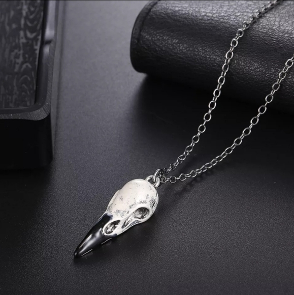 Jewelry - Titanium and enamel ravens skull punk goth necklace new